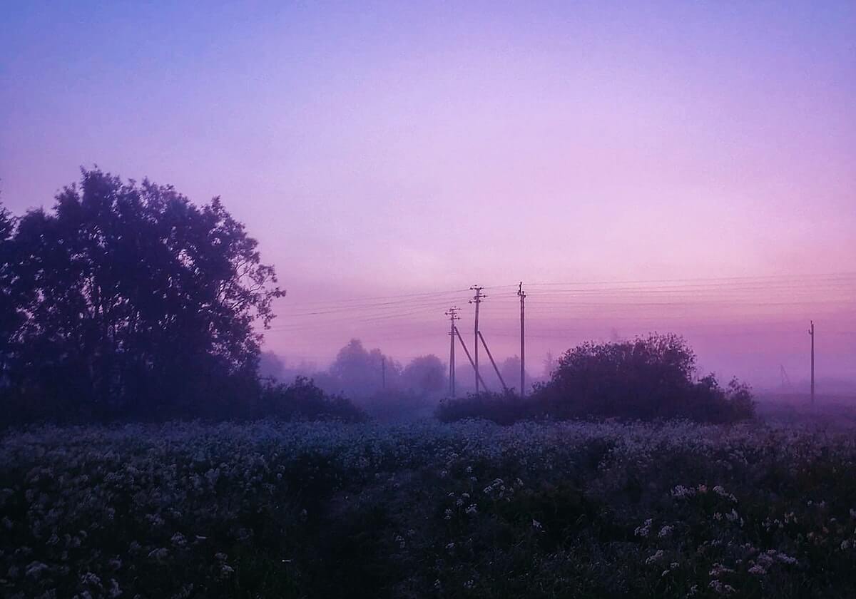 咪咕体育-官方：拉亚战布莱顿的指尖神扑当选英超12月最佳扑救
